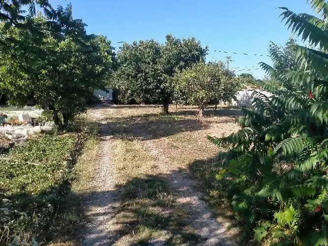 Le Refuge Atypique Luçon